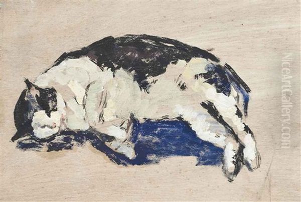 Sleeping Cat - view 1