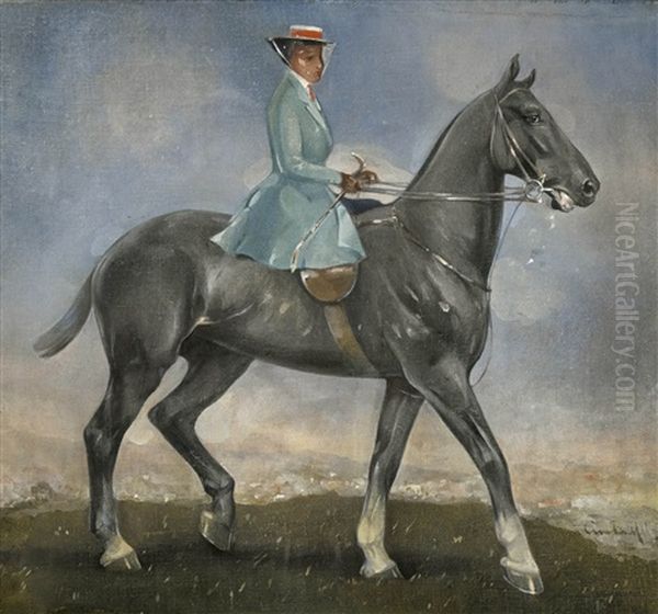 The Irish Hunter - view 1