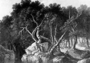 Vue D'un Sous-bois by Louis-Philippe Crepin