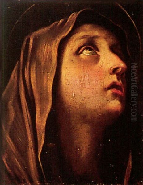 Dolorosa - view 1