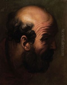 Testa Di Carattere
