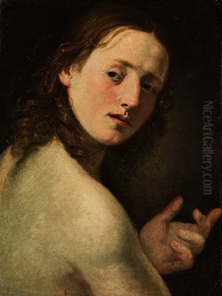 Halbbildnis Eines Jungen Mannes (johannes Der Taufer?) - view 1