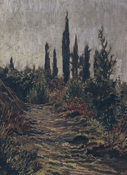 Viottolo Con Cipressi - view 1