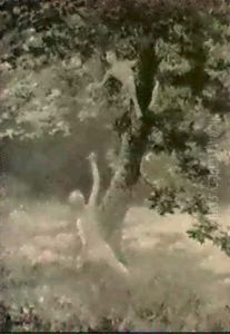 Taquineries Champetres by Albert Cresswell