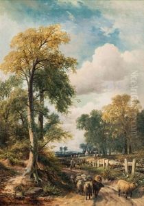 Rural Idyl With Flock Of Sheep Rural Idyl With Flock Of Sheep
