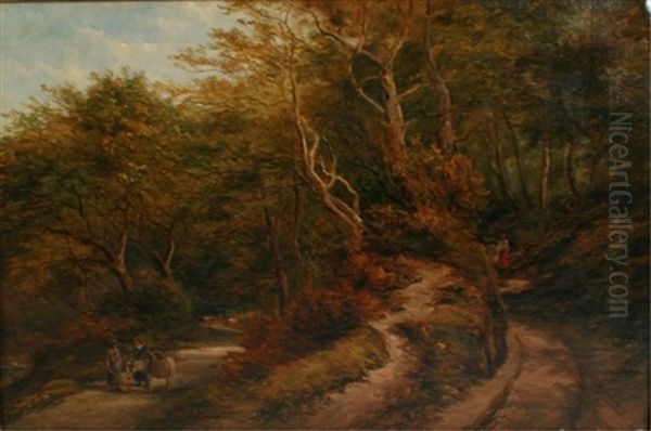 Forest Path - view 1