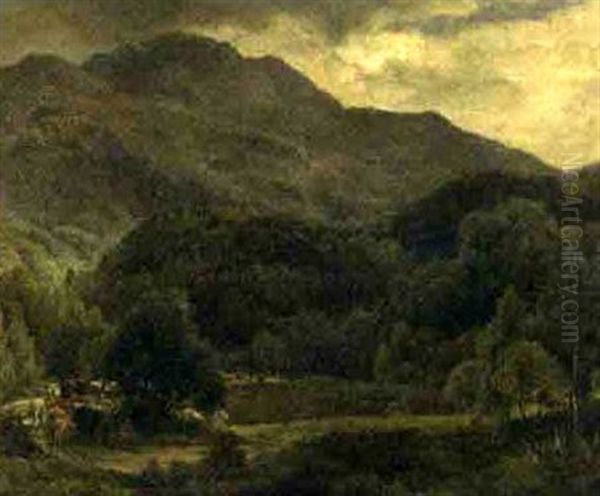 Cattle In The Mountains - view 1