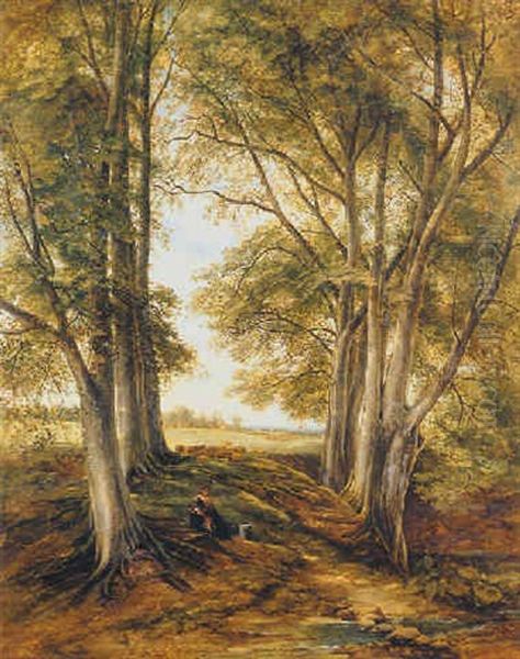 Resting In A Shady Glade - view 1