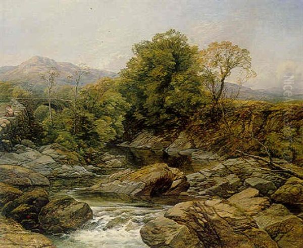 Fairy Glen, North Wales - view 1