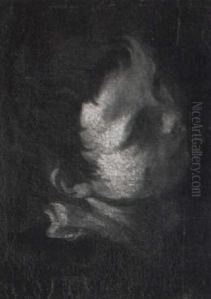The Head Of A Young Boy, Looking Up To The Right - view 1