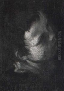 The Head Of A Young Boy, Looking Up To The Right by Donato Creti