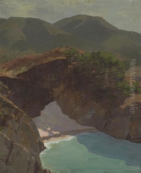 China Cove, Pt. Lobos - view 1