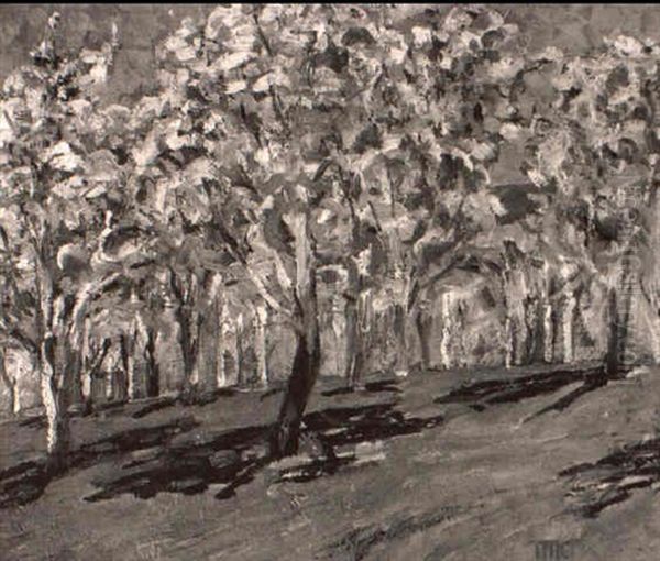 Blossoming Orchard - view 1