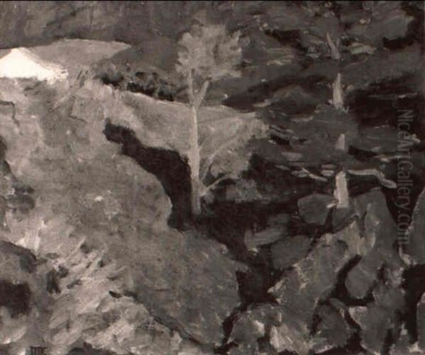 Barn In A Clearing, Highlands Forest - view 1