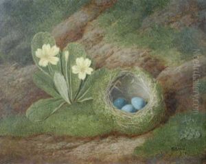 Primroses And A Moss-covered Blackbird's Nest On A Grassy Bank