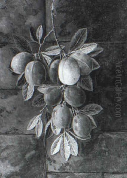 Greengages And Plums (a Pair) - view 1