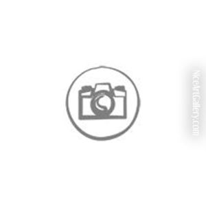 Vas by Cristallerie d'Emile Galle