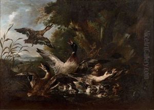 Paysage Avec Canards Et Canetons Effarouches by Angelo Maria (Crivellone) Crivelli