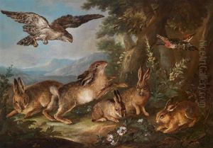 Angriff Eines Bussards Auf Junge Hasen Mit Davonfliegendem Buntspecht