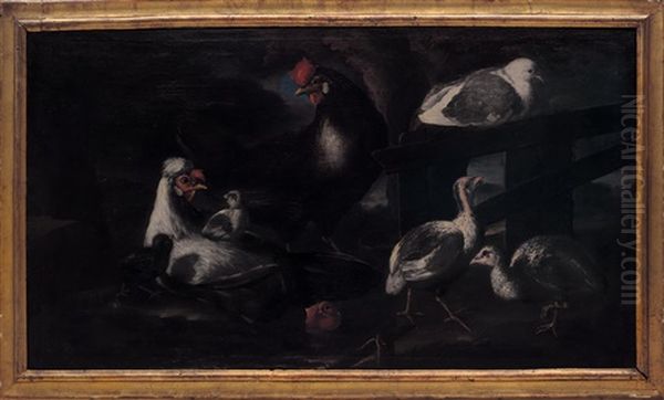 Animali Da Cortile - view 1