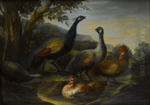 Pfauen Und Hahn In Landschaft by Angelo Maria (Crivellone) Crivelli