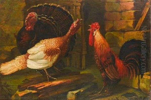 Turkeys And A Cockerel In A Farmyard - view 1