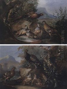 Pheasant, Red Legged Partridge And A Green Woodpecker by Angelo Maria (Crivellone) Crivelli