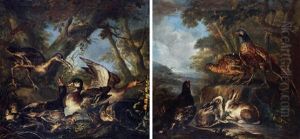 Ducks And A Curlew In A Pond In A Wooded Landscape
