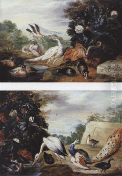 Scenes Animalieres - view 1