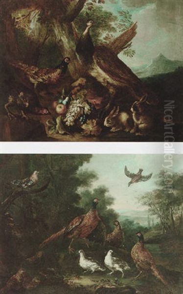 A Peacock, Pheasant, Rabbits And Fruit In A Landscape - view 1