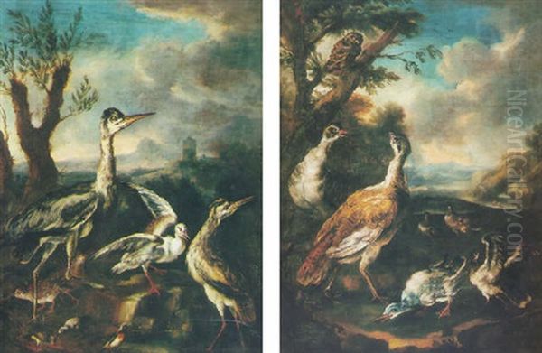 Oiseaux D'eau Dans Un Paysage - view 1