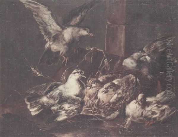 Pigeons Gathered Around A Nest In A Barn Interior - view 1