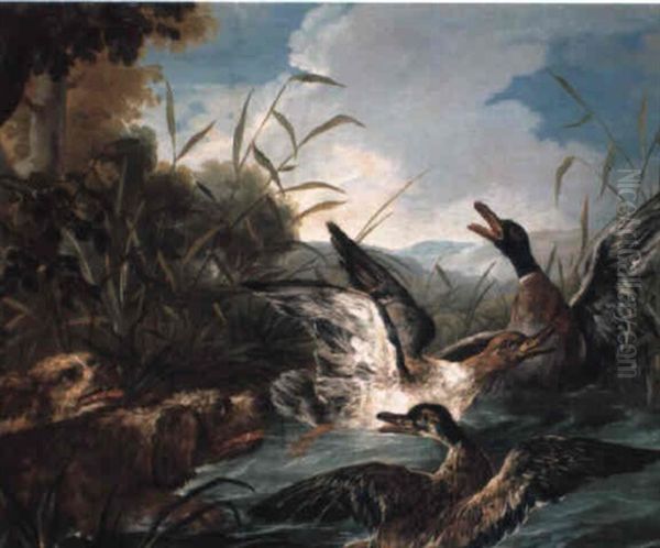 Spaniels Flushing A Duck - view 1