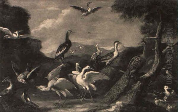 Exotic Birds In A Landscape - view 1