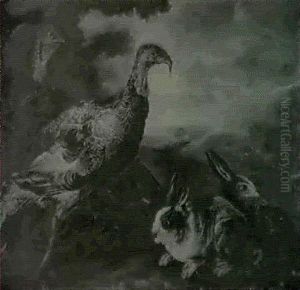Deux Dindons Et Deux Lapins