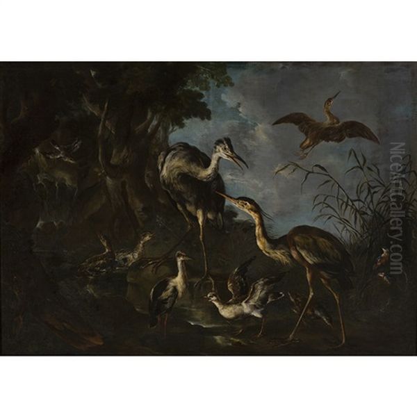 A Wooded Landscape With Assorted River Birds And Animals - view 1