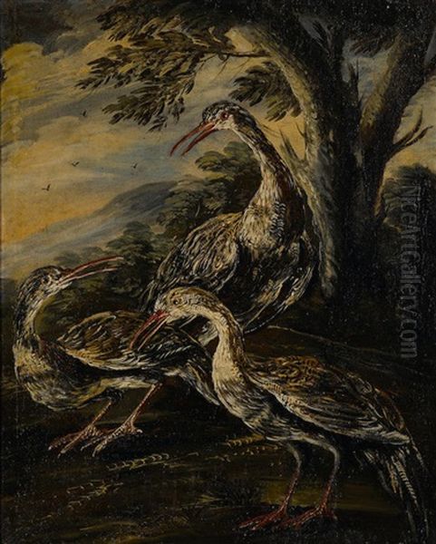 A Study Of Birds With A Companion Painting (a Pair) - view 1