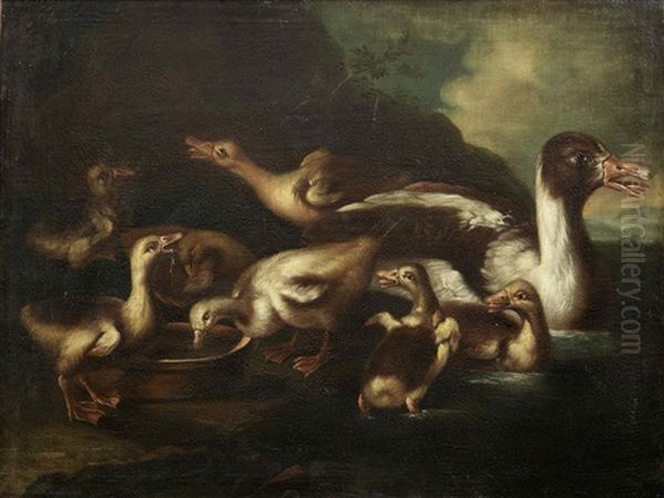 A Family Of Ducks On A Pond - view 1