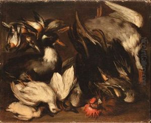 Natura Morta Con Gallo E Beccacce
