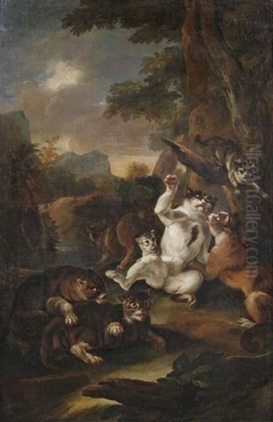 Wildkatzen In Bergiger Landschaft Bei Abendlicht - view 1