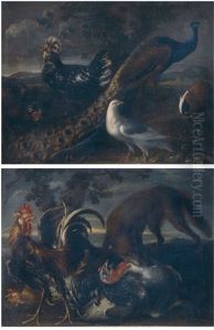 Natura Morta Con Uccelli E Pavone (+ Natura Morta Con Tacchino E Galli; 2 Works) by Giovanni (Crivellino) Crivelli