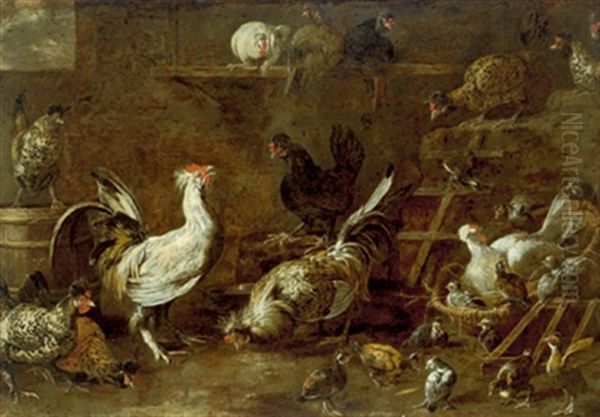 Gallinacci In Un Pollaio - view 1