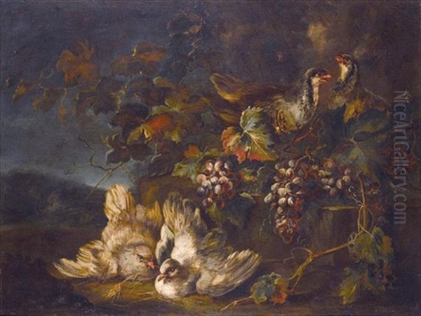 Still Life With Doves, Partridges And Grapes In A Landscape - view 1