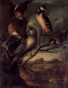 Vogelkonzert In Einer Landschaft