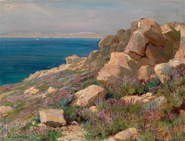 Coastal Landscape In Croatia - view 1