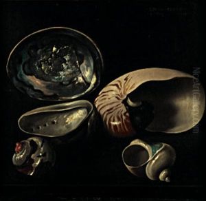 Conchiglie by Bruno Croatto