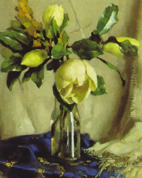 Magnolien - view 1