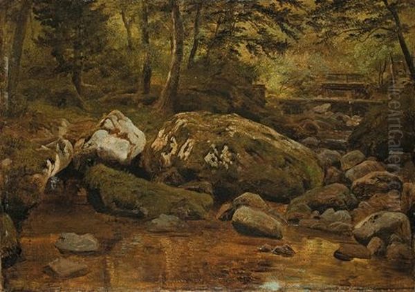 Stream Near Ilsenburg - view 1