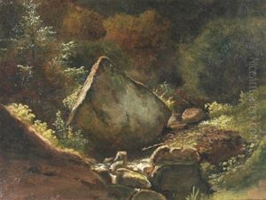 Waldlandschaft Mit Findling