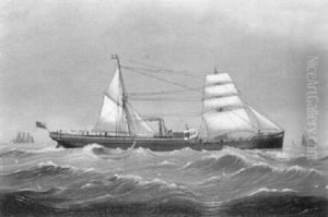 View Of The Steamship "czar"
